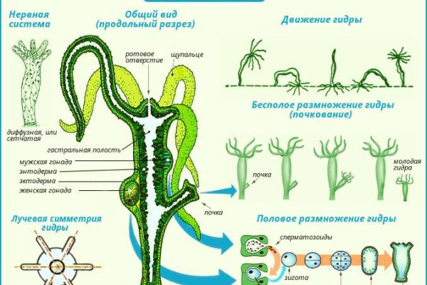 Как пополнить кошелек на кракене даркнет