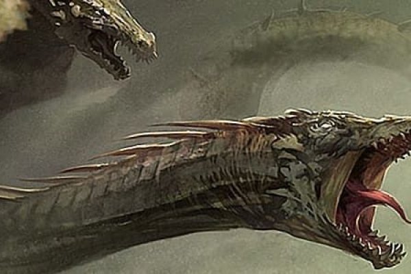 Kraken market3
