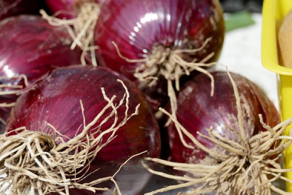 Кракен маркетплейс актуальные ссылки