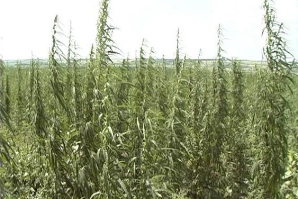 Как зайти на площадку кракен